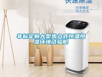 知識百科非標定製大型步入式恒溫恒濕環境試驗艙