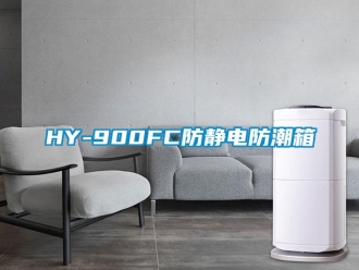 企業手机看片AV短片HY-900FC防靜電防潮箱