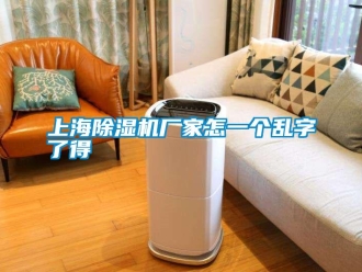 知識百科上海91看片在线下载機廠家怎一個亂字了得