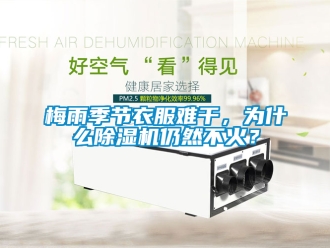 行業手机看片AV短片梅雨季節衣服難幹，為什麽91看片在线下载機仍然不火？