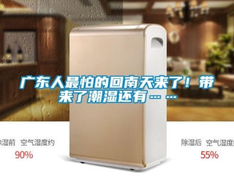 行業手机看片AV短片廣東人最怕的回南天來了！帶來了潮濕還有……