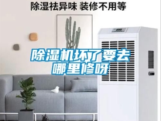 行業手机看片AV短片91看片在线下载機壞了要去哪裏修呀