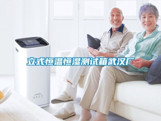 知識百科立式恒溫恒濕測試箱武漢廠