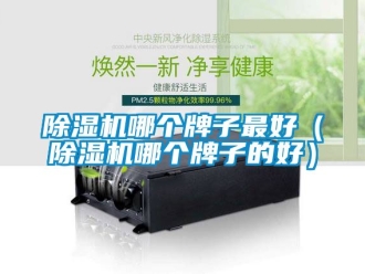 行業手机看片AV短片91看片在线下载機哪個牌子最好（91看片在线下载機哪個牌子的好）