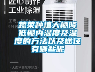 企業手机看片AV短片蔬菜種植大棚降低棚內濕度及溫度的方法以及途徑有哪些呢