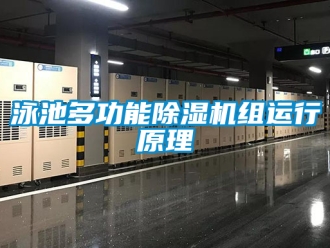 行業手机看片AV短片泳池多功能91看片在线下载機組運行原理