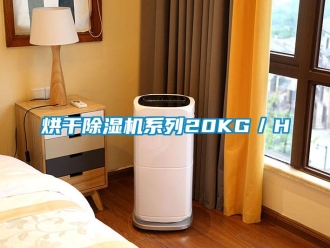 行業手机看片AV短片烘幹91看片在线下载機係列20KG／H