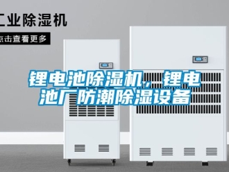 行業手机看片AV短片鋰電池91看片在线下载機，鋰電池廠防潮91看片在线下载設備