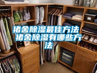 企業手机看片AV短片豬舍91看片在线下载最佳方法 豬舍91看片在线下载有哪些方法