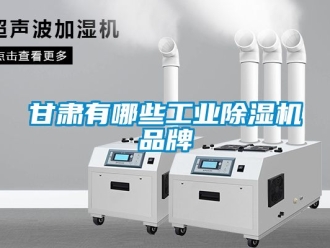 常見問題甘肅有哪些工業91看片在线下载機品牌
