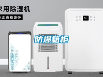 企業手机看片AV短片防爆箱櫃