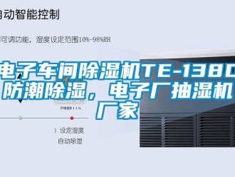 企業手机看片AV短片電子車間91看片在线下载機TE-138D防潮91看片在线下载，電子廠抽濕機廠家