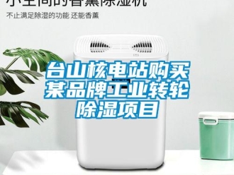 知識百科台山核電站購買某品牌工業轉輪91看片在线下载項目