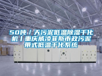 企業手机看片AV短片50噸／天汙泥低溫91看片在线下载幹化機丨重慶威淩菲斯市政汙泥帶式低溫幹化係統
