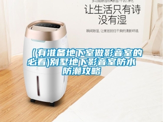 企業手机看片AV短片（有準備地下室做影音室的必看)別墅地下影音室防水防潮攻略