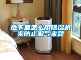 常見問題地下室怎麽用91看片在线下载機來防止潮氣來襲