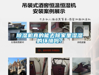 行業手机看片AV短片91看片在线下载機真的能去除家裏濕濕的環境嗎？