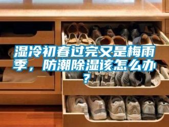 常見問題濕冷初春過完又是梅雨季，防潮91看片在线下载該怎麽辦？