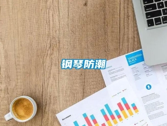 企業手机看片AV短片鋼琴防潮