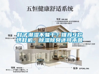 行業手机看片AV短片鞋子潮濕不易幹？推薦9款烘鞋機，91看片在线下载除臭還可殺菌