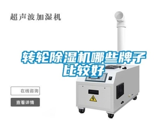 常見問題轉輪91看片在线下载機哪些牌子比較好