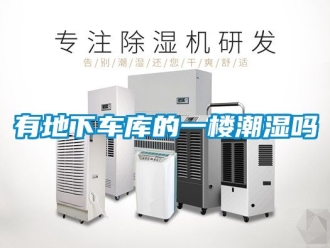 企業手机看片AV短片有地下車庫的一樓潮濕嗎