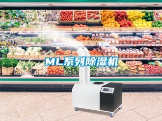 企業手机看片AV短片ML係列91看片在线下载機