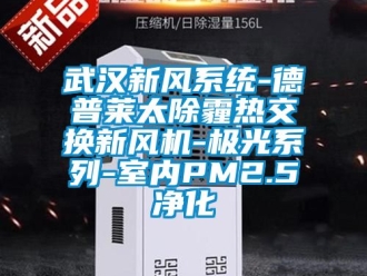 企業手机看片AV短片武漢新風係統-德普萊太除霾熱交換新風機-極光係列-室內PM2.5淨化