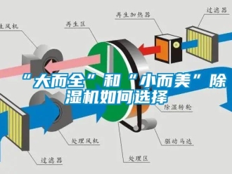 常見問題“大而全”和“小而美”91看片在线下载機如何選擇