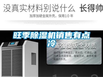 知識百科旺季91看片在线下载機銷售有點冷