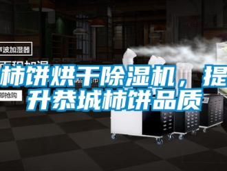 行業手机看片AV短片柿餅烘幹91看片在线下载機，提升恭城柿餅品質