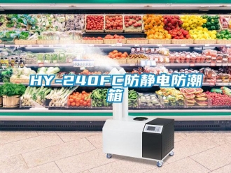 企業手机看片AV短片HY-240FC防靜電防潮箱