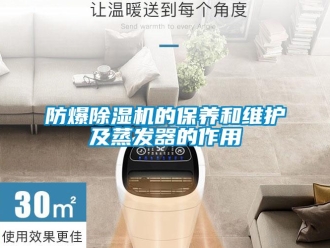 企業手机看片AV短片防爆91看片在线下载機的保養和維護及蒸發器的作用