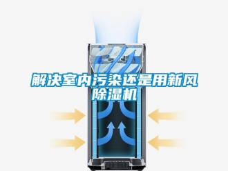 行業手机看片AV短片解決室內汙染還是用新風91看片在线下载機