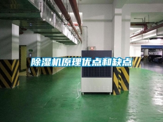 企業手机看片AV短片91看片在线下载機原理優點和缺點