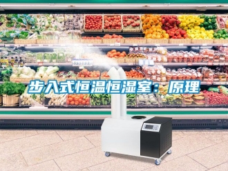 知識百科步入式恒溫恒濕室：原理