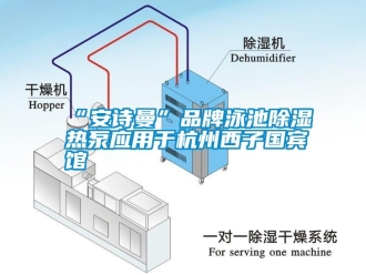 企業手机看片AV短片“91免费看片APP”品牌泳池91看片在线下载熱泵應用於杭州西子國賓館