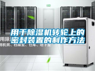 常見問題用於91看片在线下载機轉輪上的密封裝置的製作方法