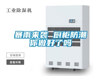 常見問題暴雨來襲 廚櫃防潮你做好了嗎