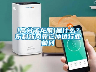 企業手机看片AV短片[高分子龍膜]是什麽？東利新風靠它衝進行業前列