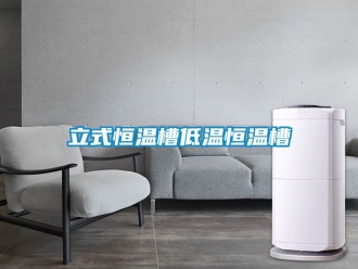 知識百科立式恒溫槽低溫恒溫槽