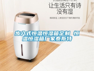 知識百科步入式恒溫恒濕箱定製 恒溫恒濕箱廠家泰斯特