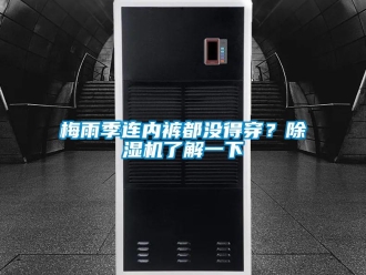 行業手机看片AV短片梅雨季連內褲都沒得穿？91看片在线下载機了解一下