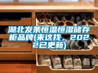 知識百科湖北發條恒溫恒濕儲存櫃品牌(來這找，2022已更新)