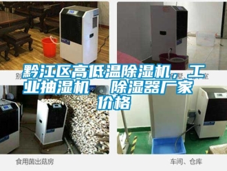 企業手机看片AV短片黔江區高低溫91看片在线下载機，工業抽濕機  91看片在线下载器廠家 價格