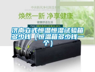 知識百科濟南立式恒溫恒濕試驗箱多少錢（恒溫箱多少錢一個）