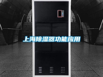 知識百科上海91看片在线下载器功能應用