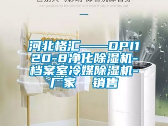 企業手机看片AV短片河北格匯——DPI120-8淨化91看片在线下载機-檔案室冷媒91看片在线下载機-廠家  銷售