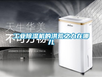 企業手机看片AV短片工業91看片在线下载機的洪荒之力在哪兒