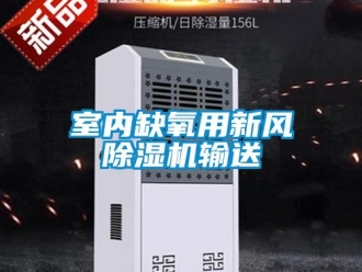 知識百科室內缺氧用新風91看片在线下载機輸送